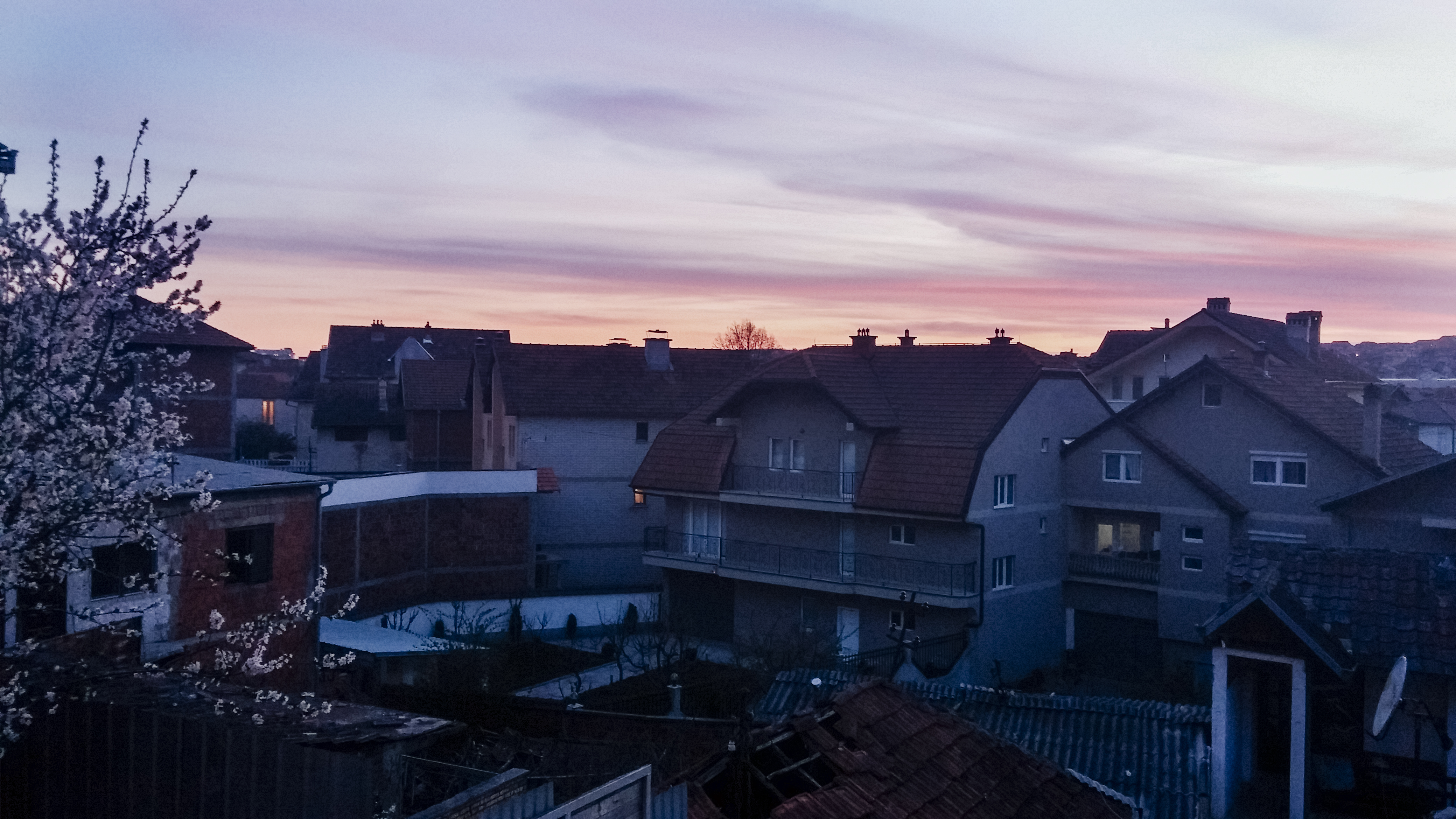 The Scent of Prishtina