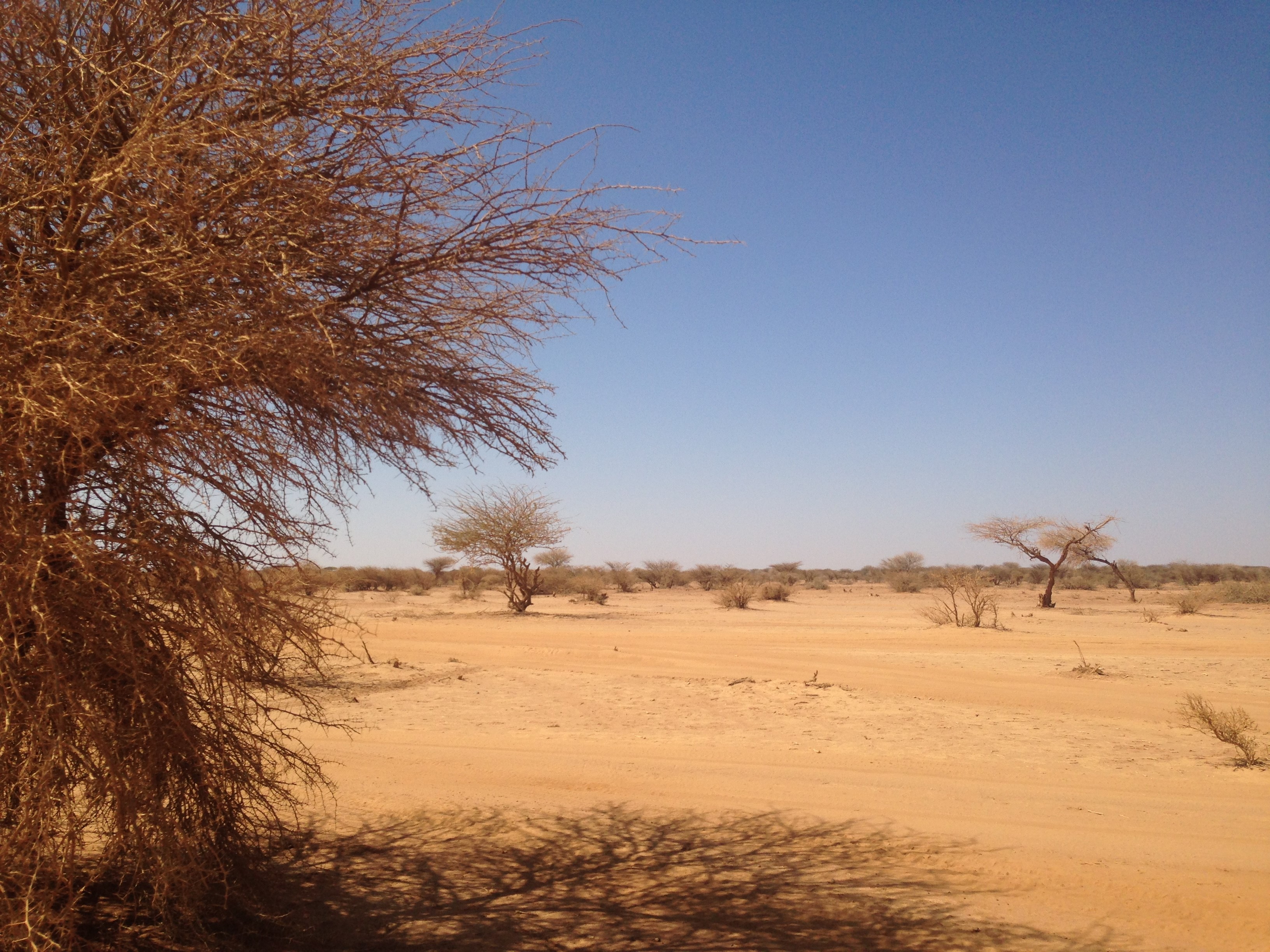 Preventing Violent Extremism Through Livelihood Innovations in Kenya and Somalia