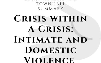 Crisis within A Crisis: Intimate and Domestic Violence Summary