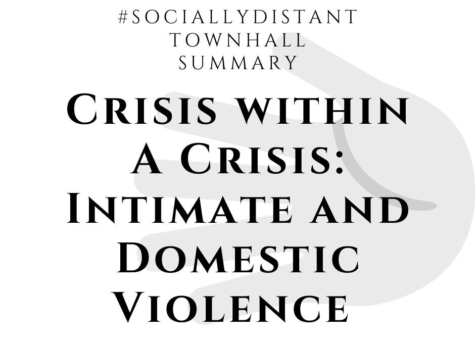 Crisis within A Crisis: Intimate and Domestic Violence Summary