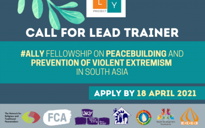 Call for Consultant: Lead Trainer for ALLY Fellowship Programme