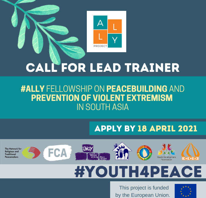 Call for Consultant: Lead Trainer for ALLY Fellowship Programme
