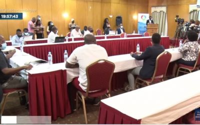 Project Launch: Towards an Inclusive and Peaceful Society in Mozambique (TIPS)