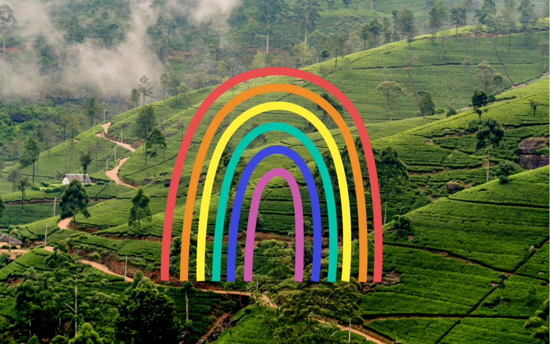 Celebrating Pride Month: Journalists and Activists Bring Awareness to the LGBTQIA+ Community in Sri Lanka