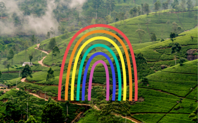Celebrating Pride Month: Journalists and Activists Bring Awareness to the LGBTQIA+ Community in Sri Lanka