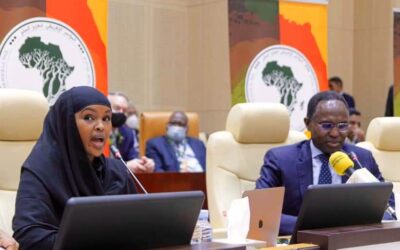 African Conference for Peace Creates Space for Dialogue and Reconciliation