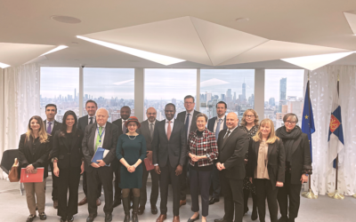 Network Steering Group Convenes at Finnish Mission to the UN