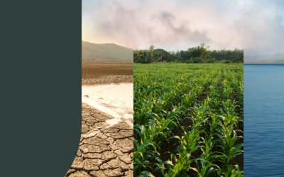 Building Understanding on the Links Between Faith, Climate and Conflict