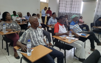 Strengthening the Role and Mandate of Provincial Forums in Mozambique