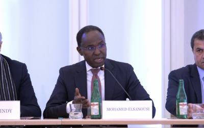 Advancing Resilience in the MENA Region