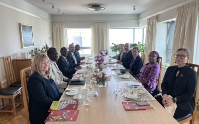 Finnish Ambassador to the UN Hosts Annual Peacemakers Network Principals Steering Group Meeting