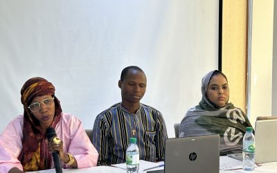 Strengthening Peace in the Sahel – Nassira Boureima Soumeila blog