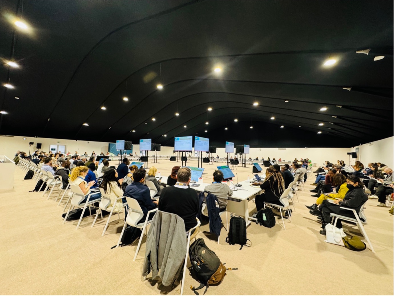Sumaiya at COP29 (2)