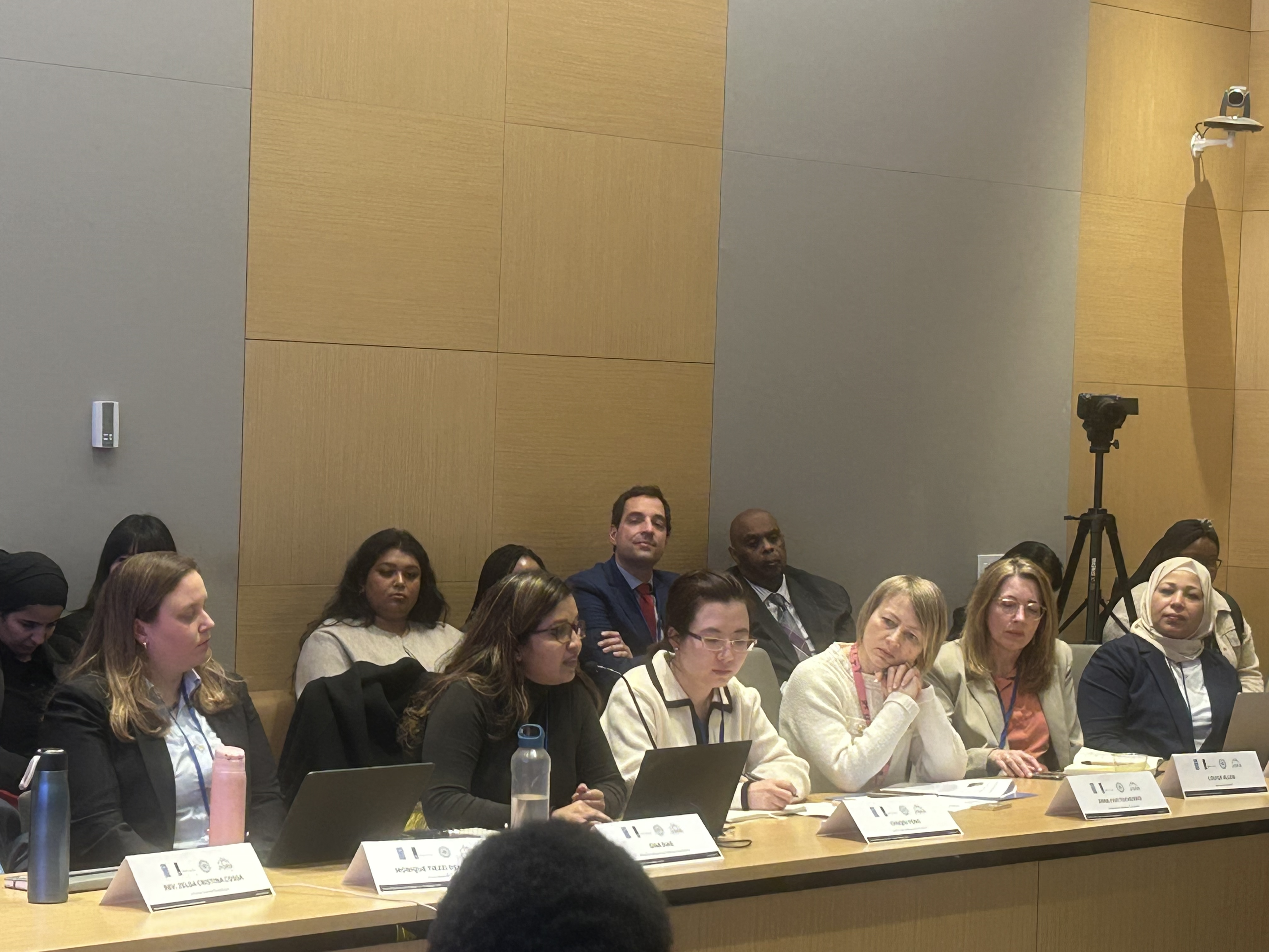 WoF Advancing the 12 Critical Areas of the Beijing Declaration (3)