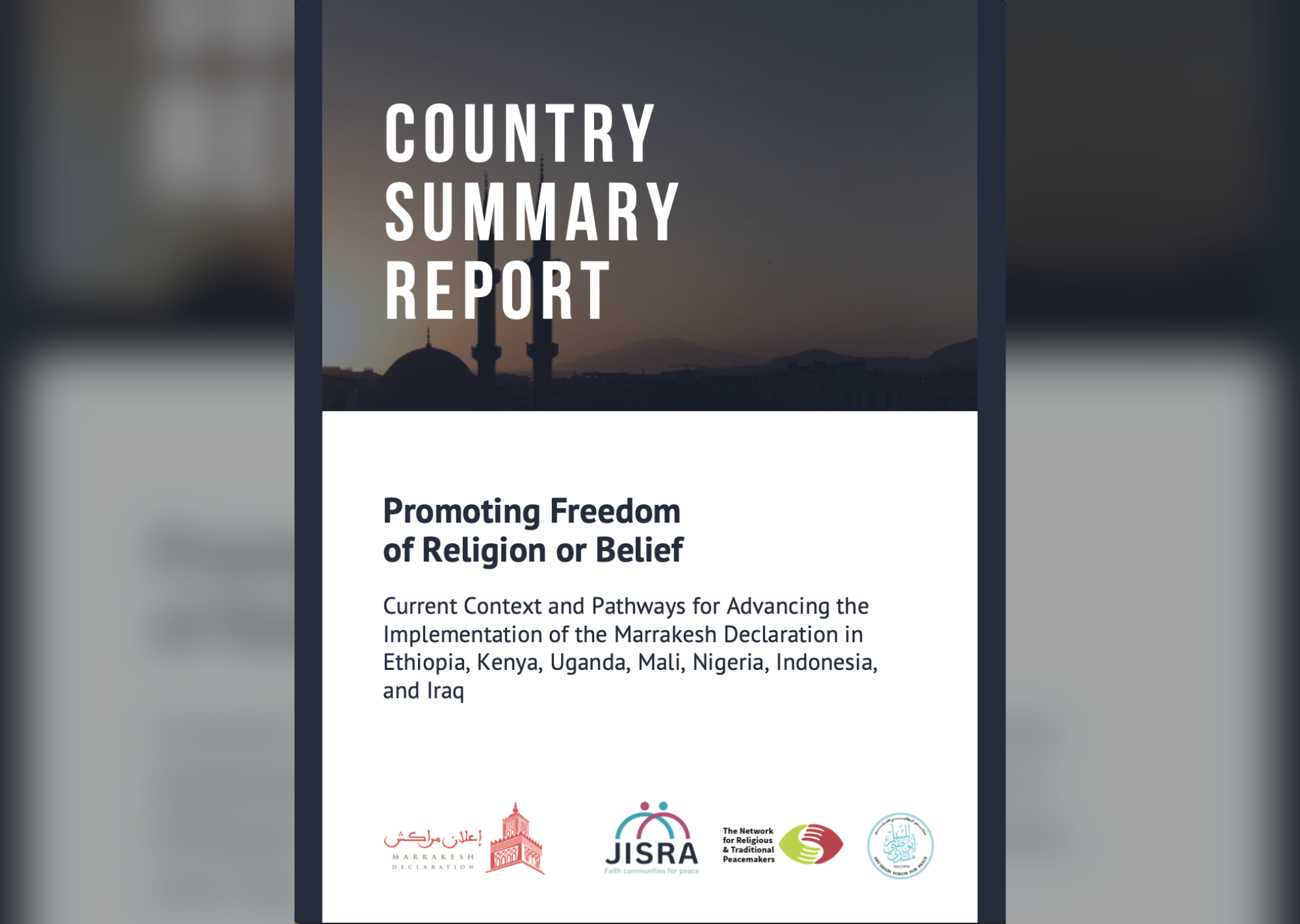 Marrakesh Declaration country summaries